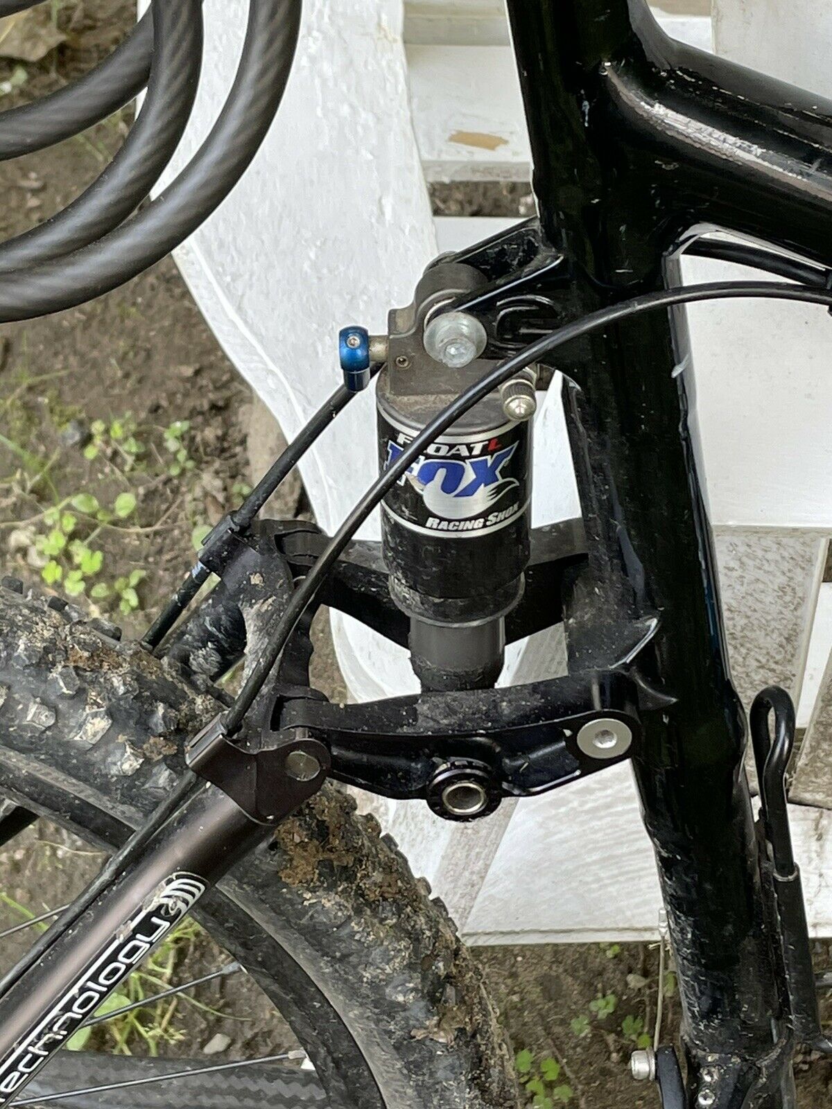 cannondale scalpel - Fresh Stock Dated February 2026