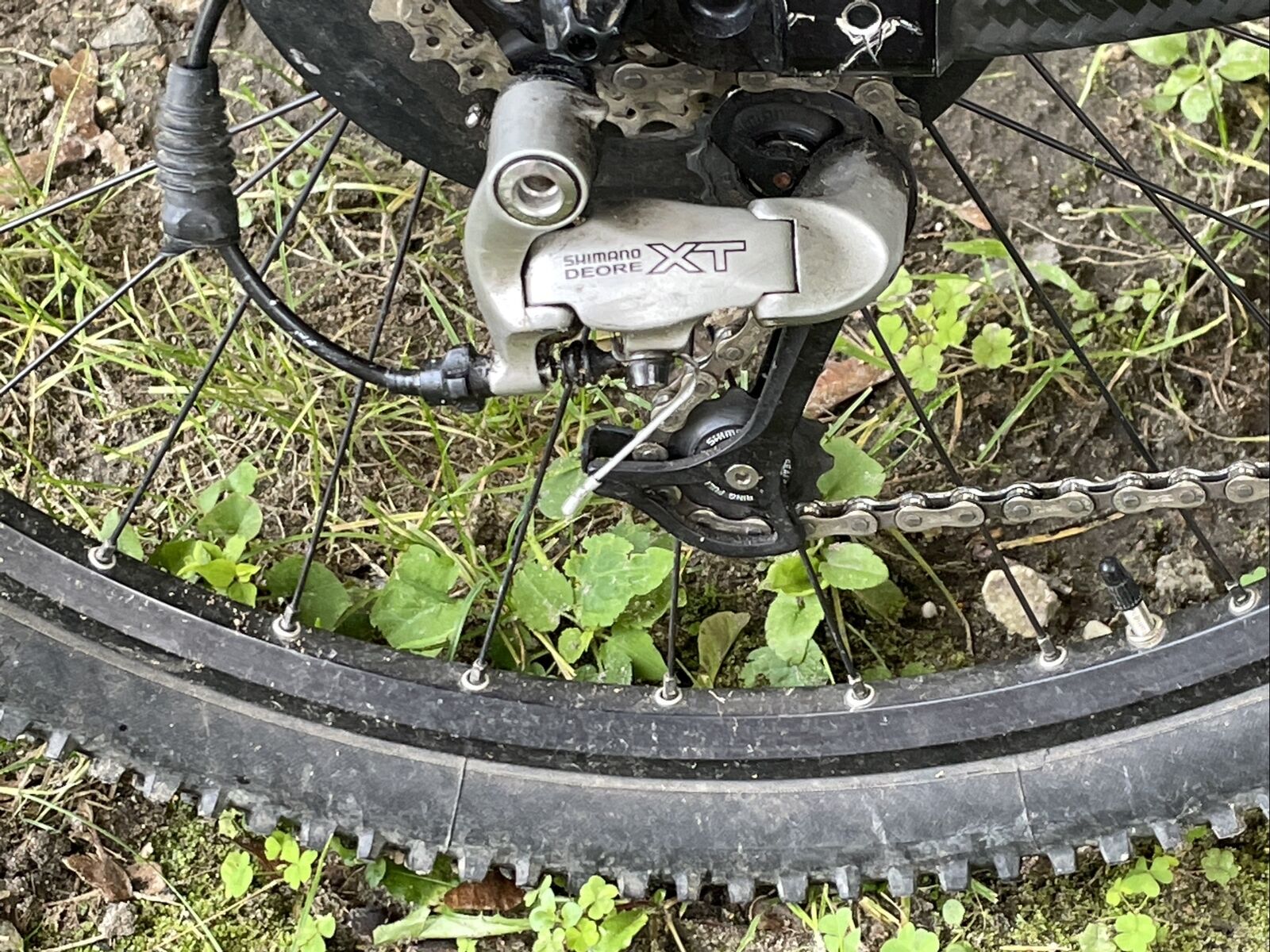 cannondale scalpel - Fresh Stock Dated February 2026