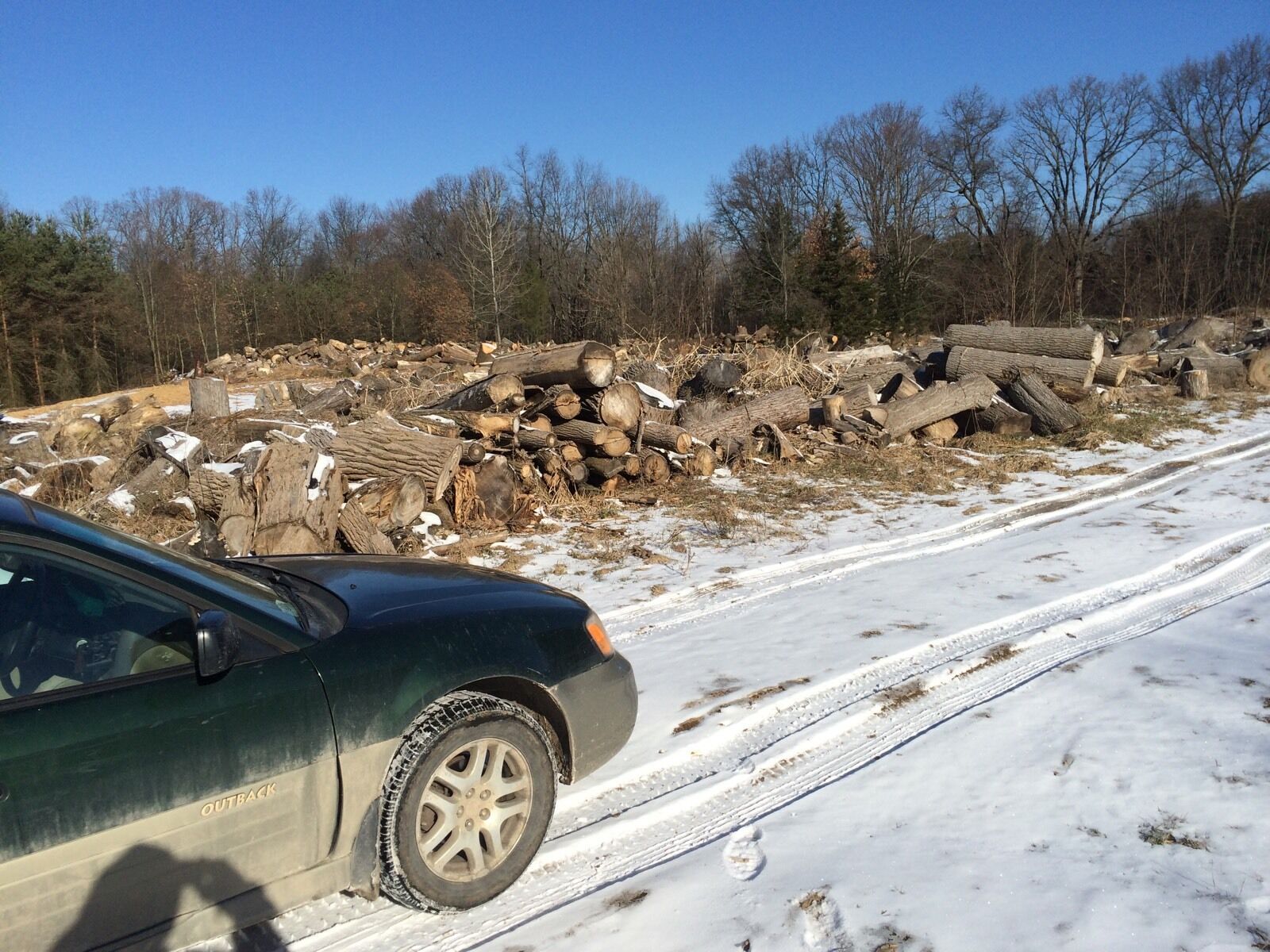 Firewood - Fresh Stock Dated December 2025