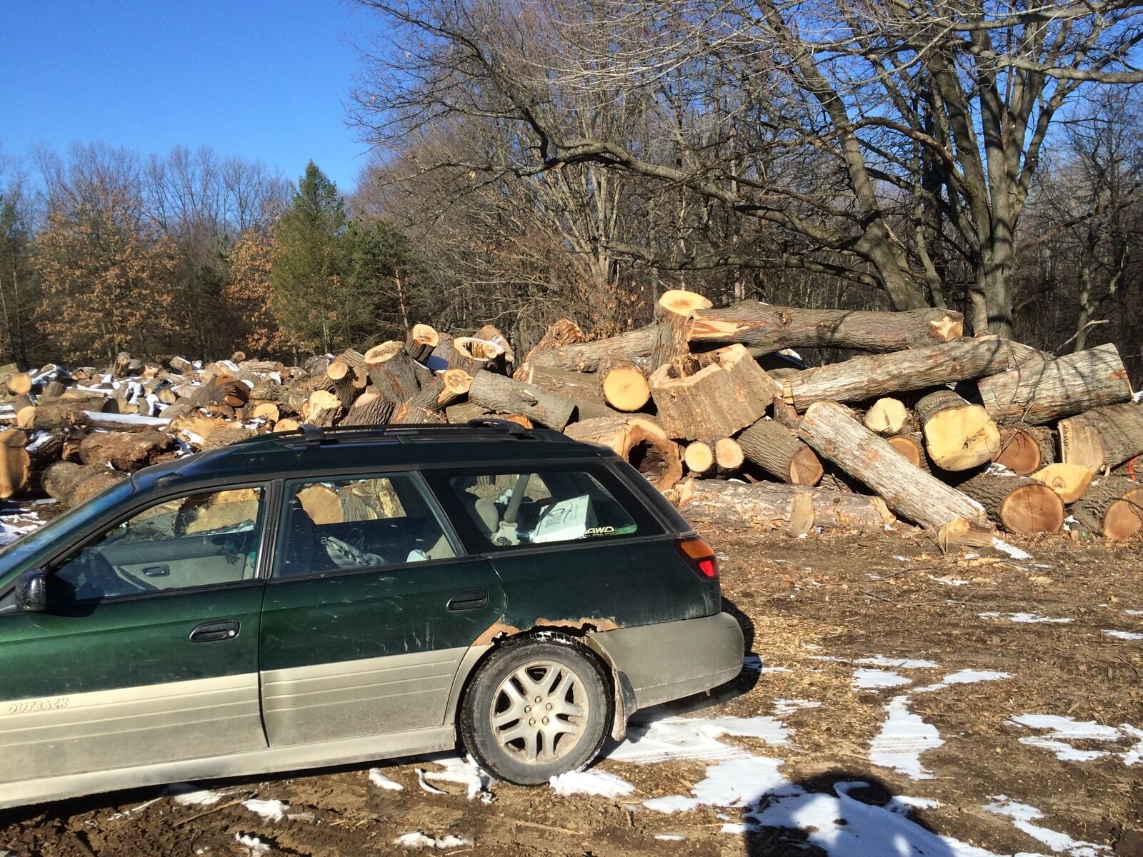 Firewood - Fresh Stock Dated December 2025