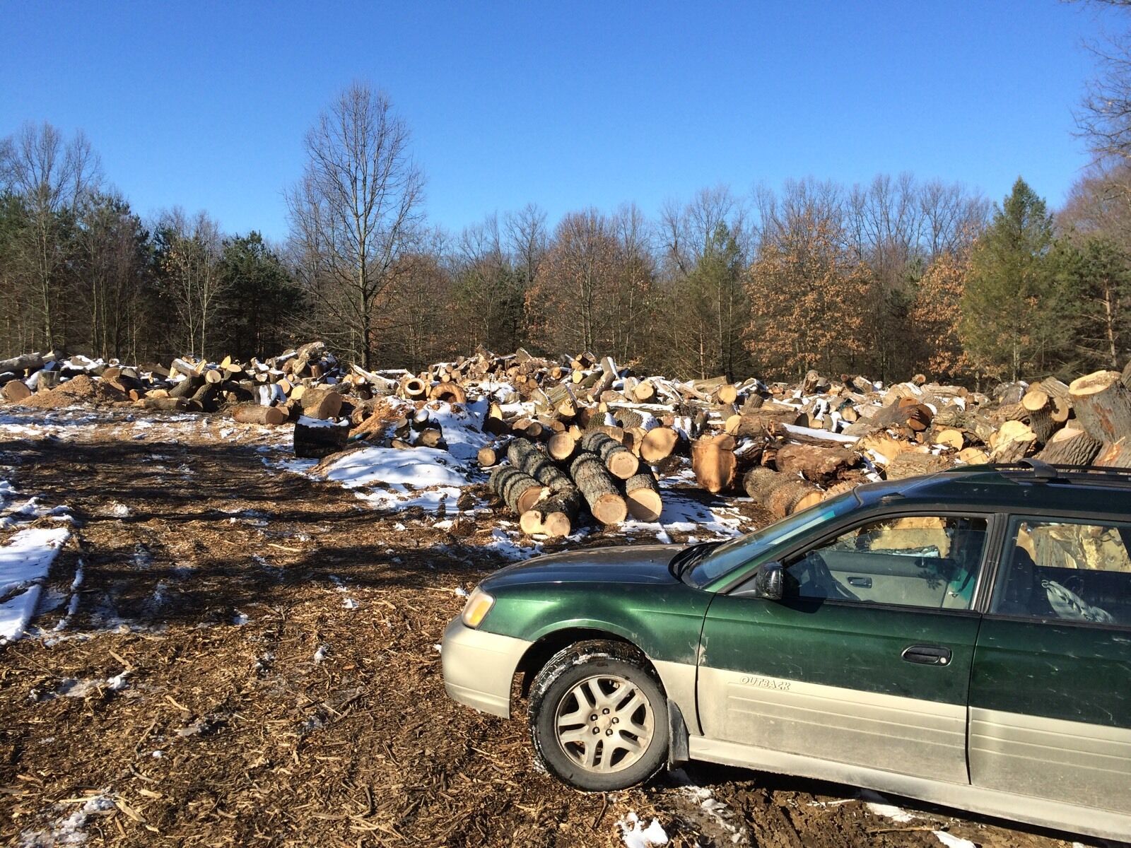 Firewood - Fresh Stock Dated December 2025