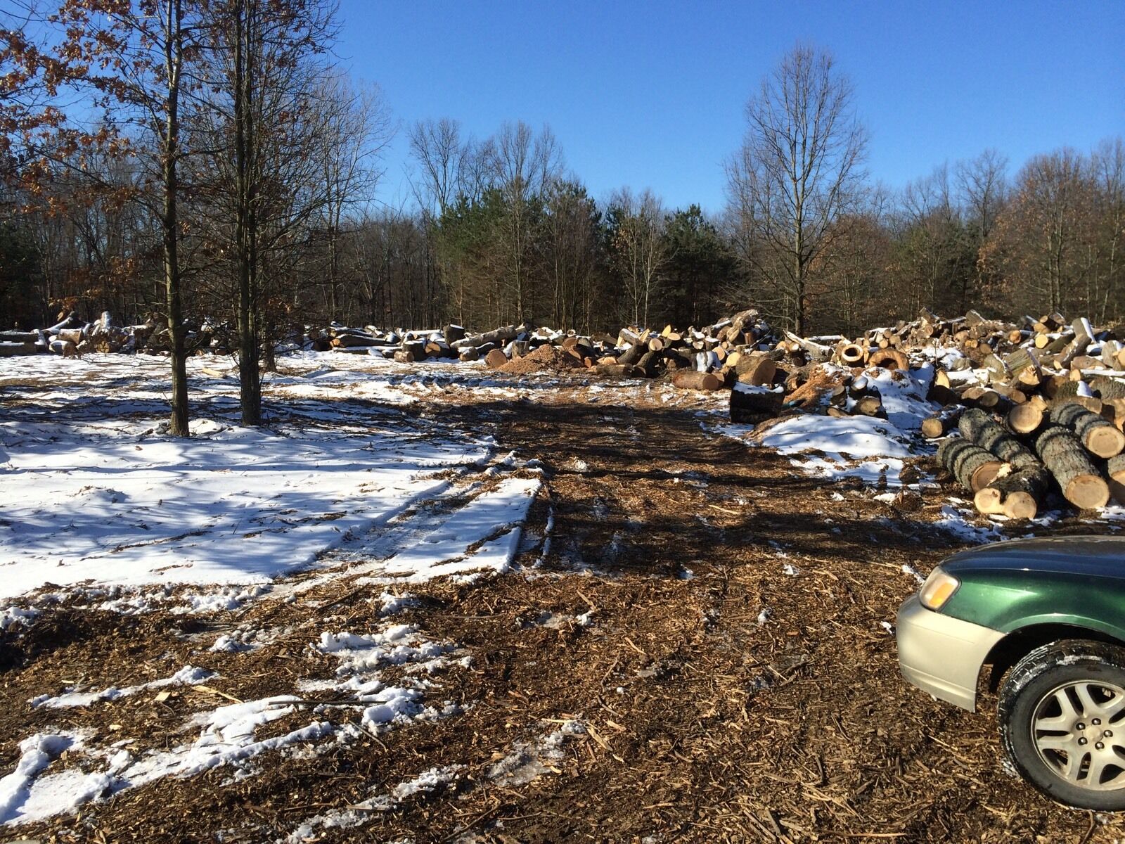 Firewood - Fresh Stock Dated December 2025