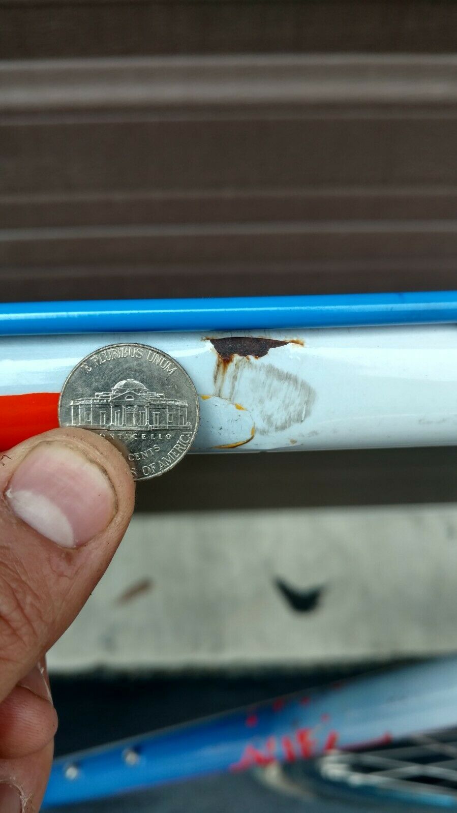 Dave Tesch Specialized Allez - Fresh Stock Dated December 2025