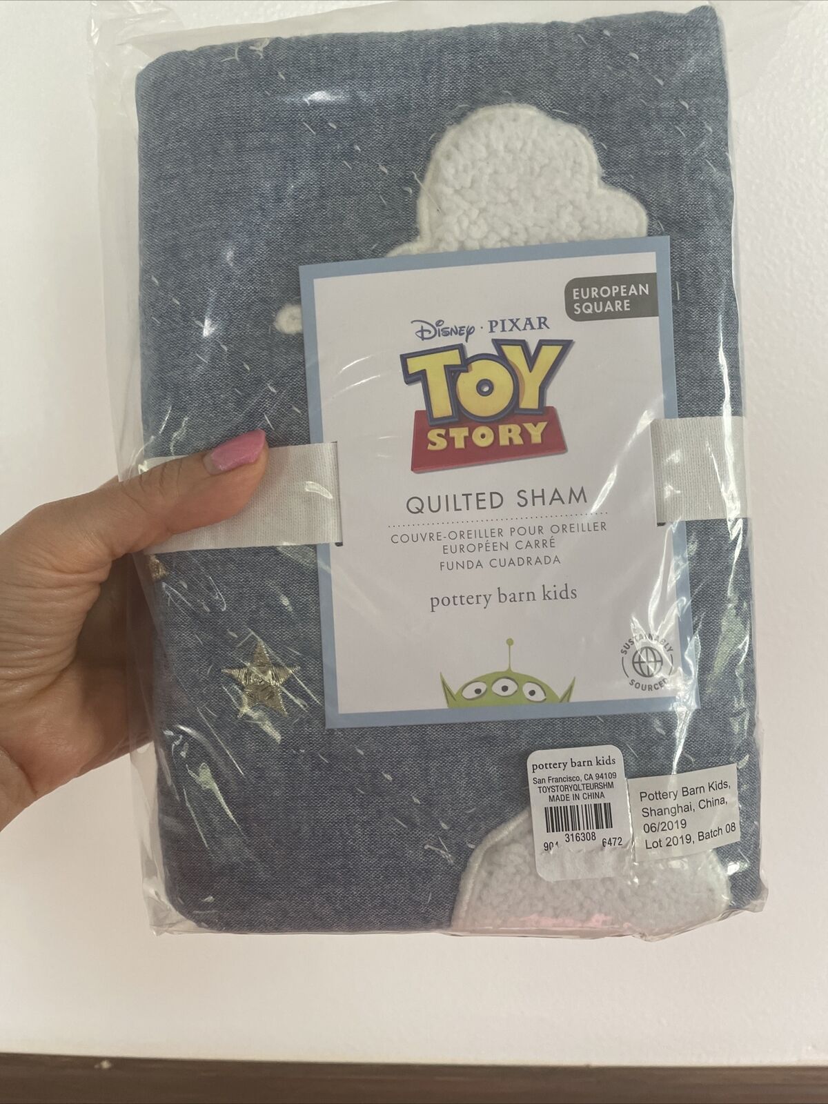 Pottery barn Buzz Cloud sky PILLOW Sham Cover Euro toy story holiday gift star - Fresh Stock Dated February 2026