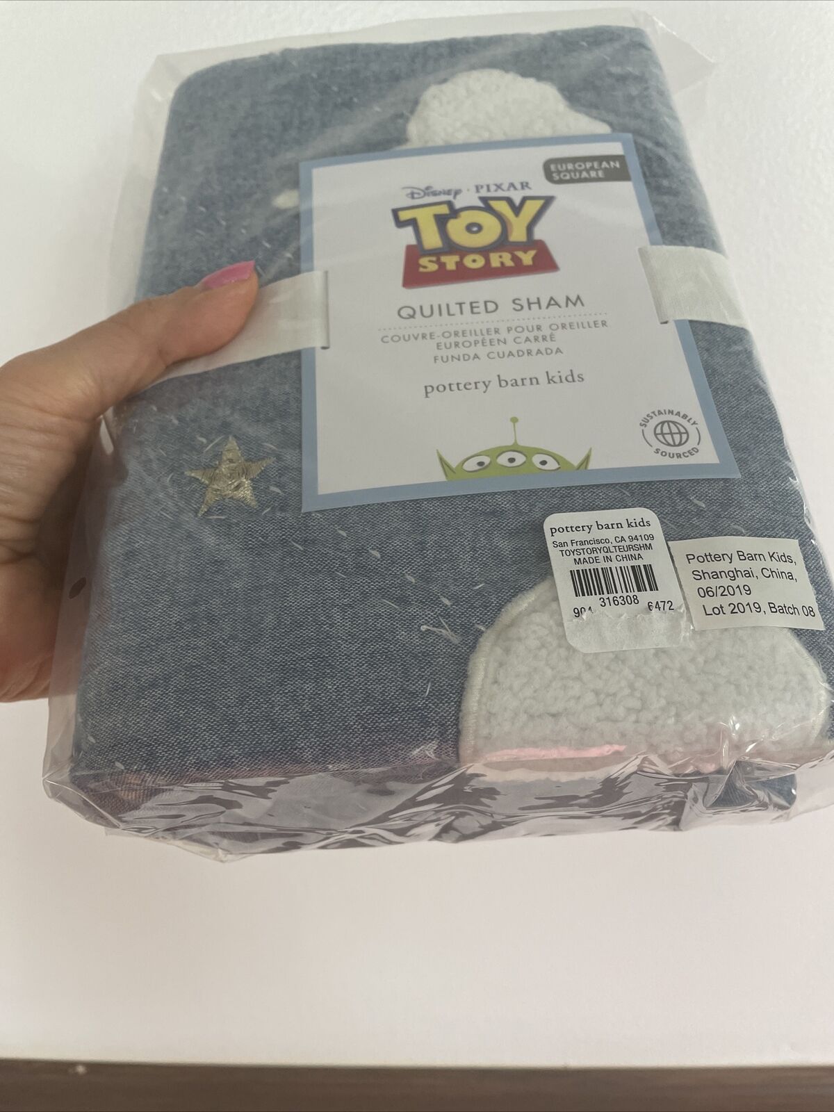 Pottery barn Buzz Cloud sky PILLOW Sham Cover Euro toy story holiday gift star - Fresh Stock Dated February 2026