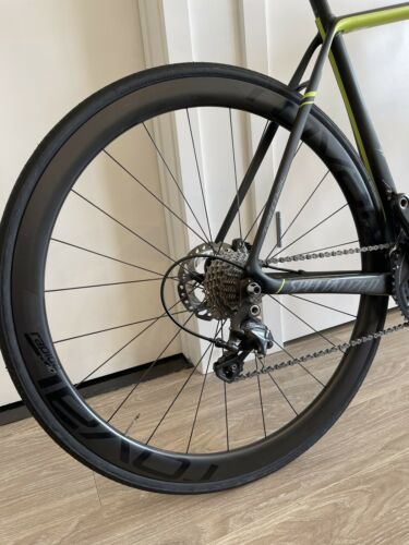 2015 Specialist Tarmac Pro - 56 - Full Carbon W/ Disk - Fresh Stock Dated December 2025