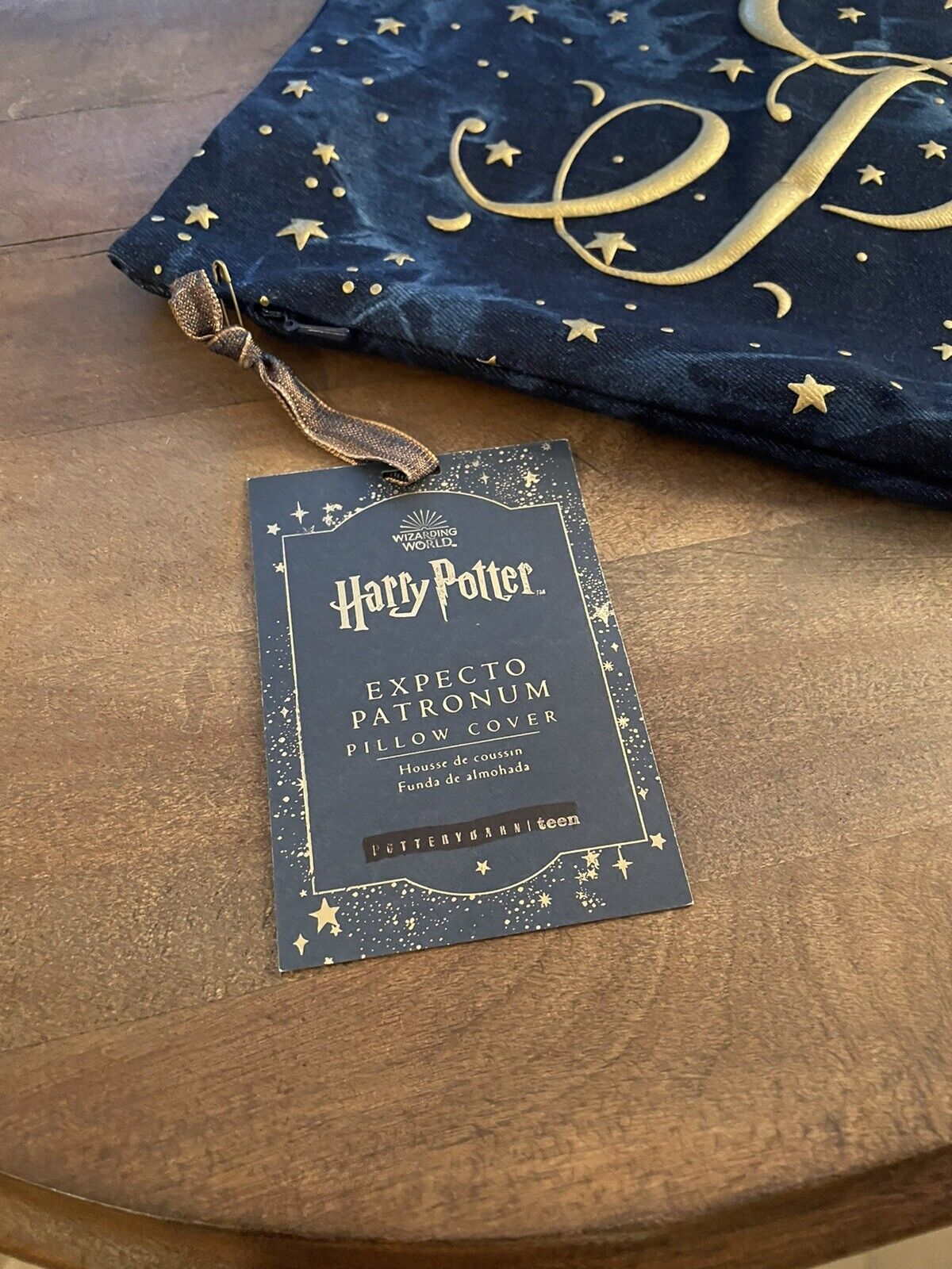 Pottery Barn Teen Harry Potter Expecto Patronum 12x24