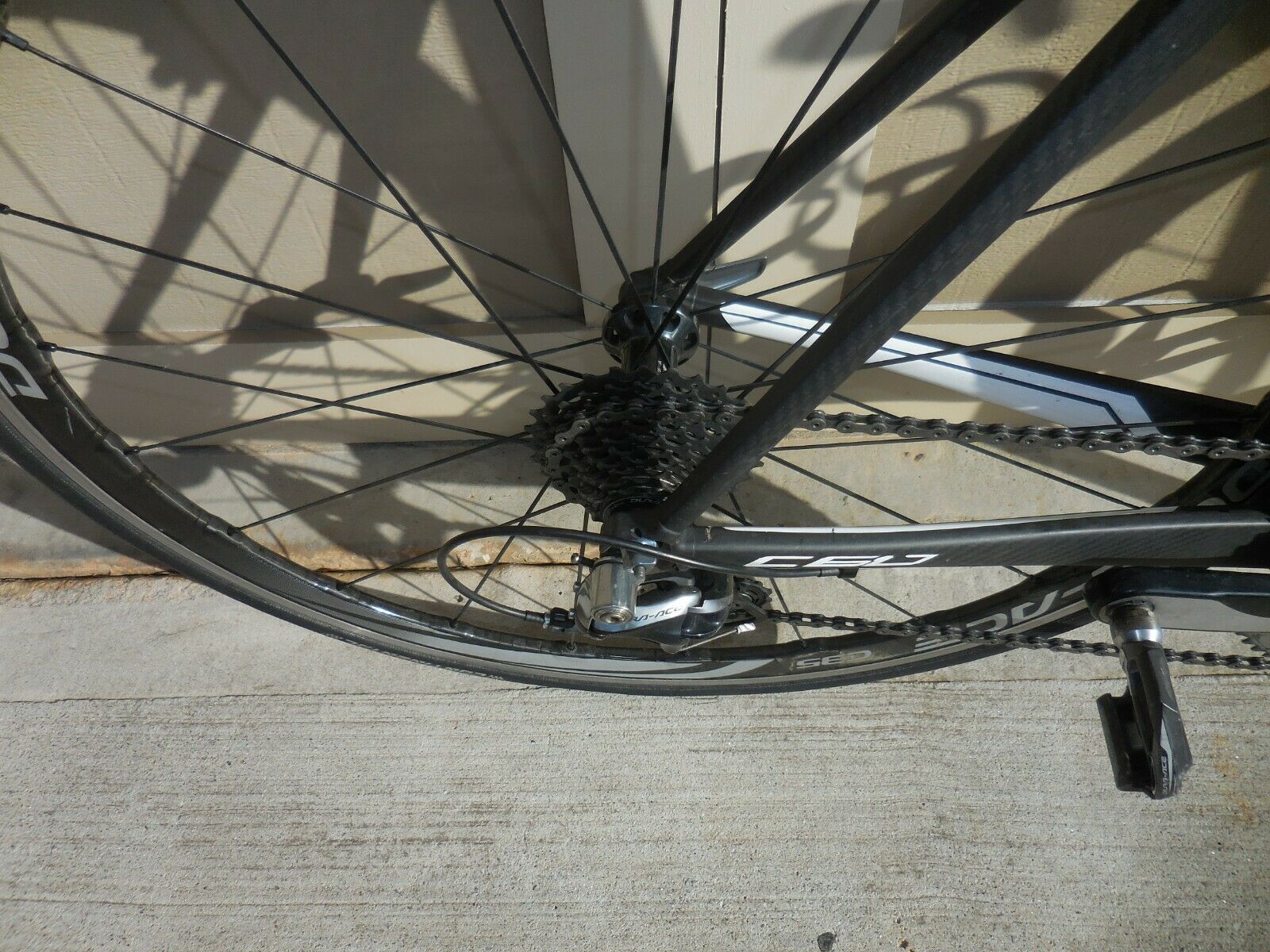 Colnago C60  Road Bike - Fresh Stock Dated December 2025