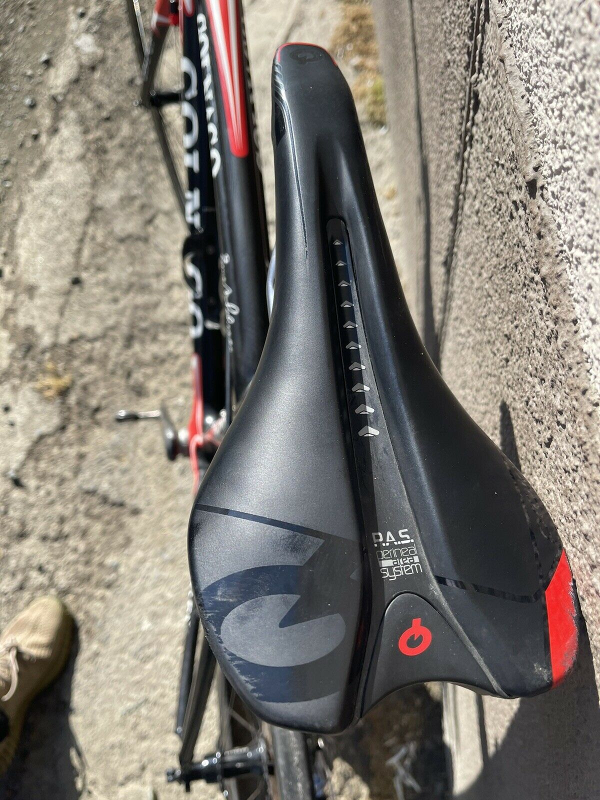 COLNAGO CLX 50cm carbon road bike - Fresh Stock Dated February 2026