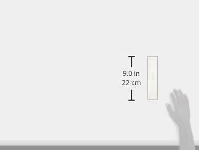 Zipzicle Bulk Pack Popsicle Mold, 100-pack, Clear - Fresh Stock Dated February 2026