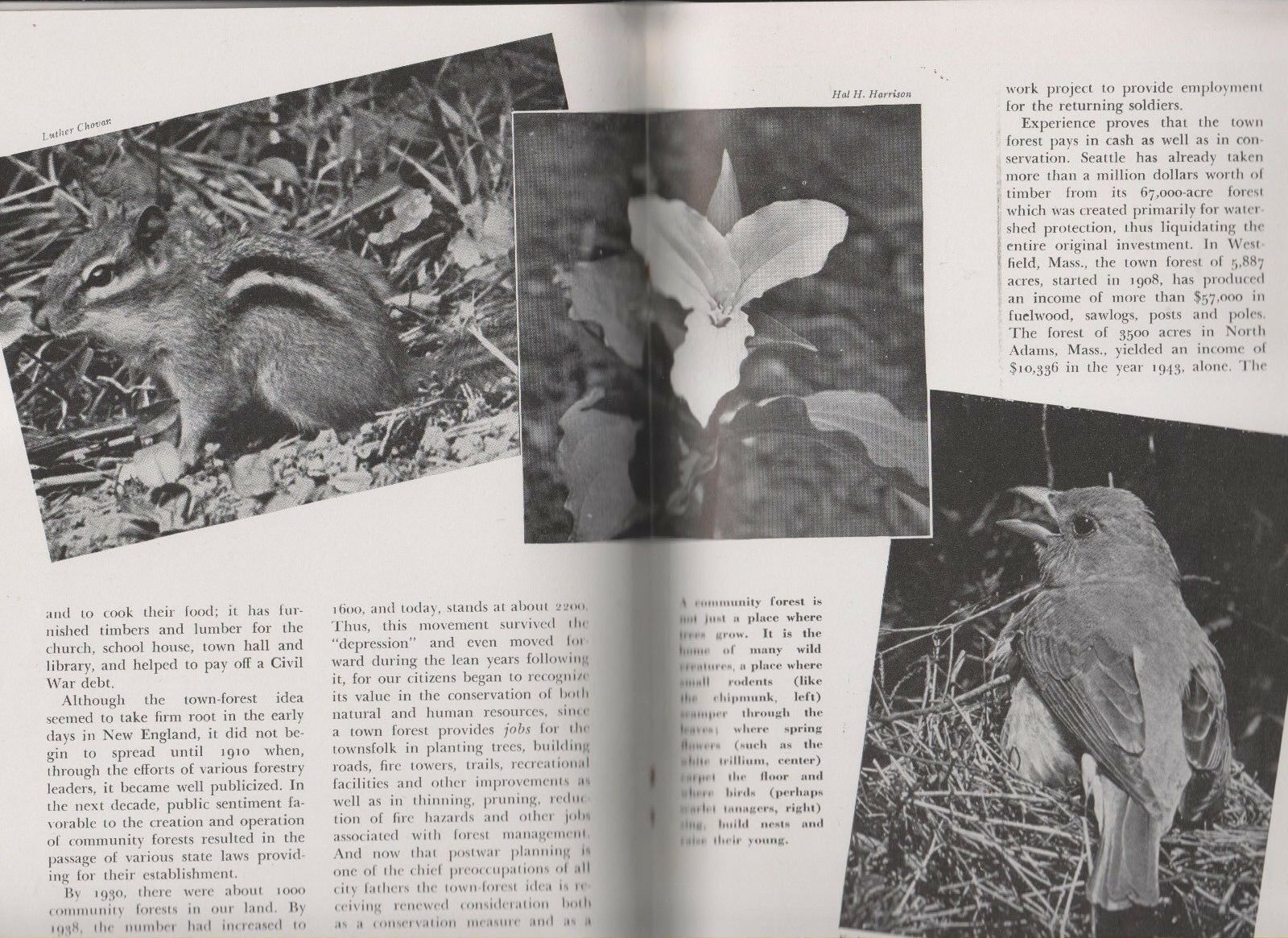 2 1944 AUDUBON MAGAZINES - PUBLISHED BY THE NATIONAL AUDUBON SOCIETY - Fresh Stock Dated December 2025