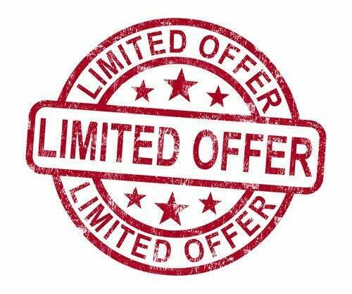 Regal Flame Human Skull Ceramic Wood Large Gas Fireplace Logs Logs for All Ty... - Fresh Stock Dated December 2025