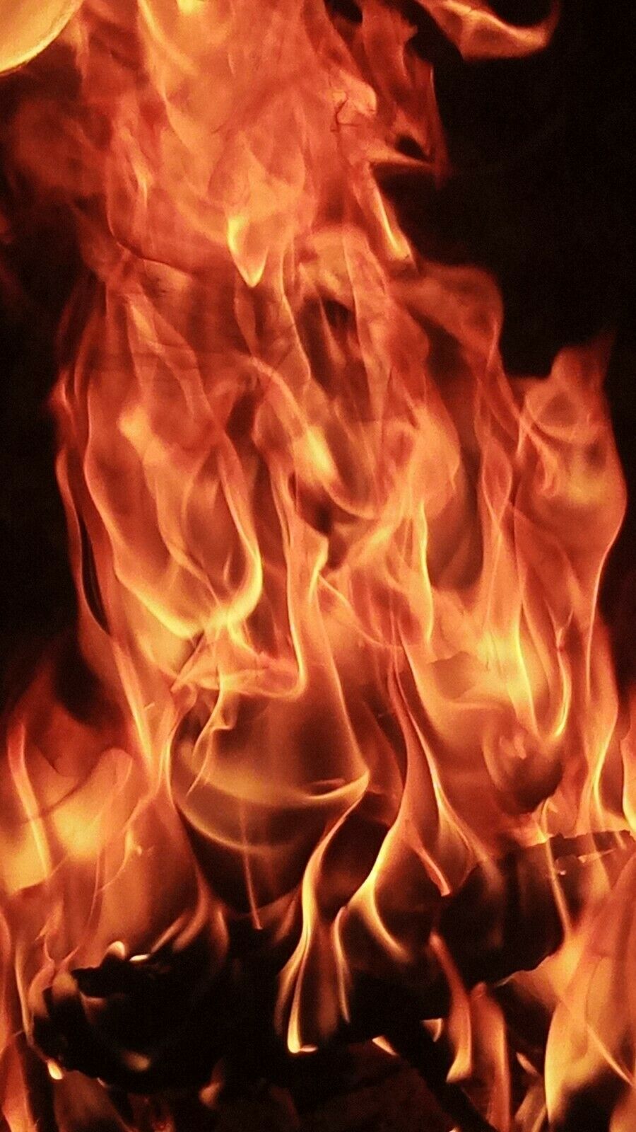 Fat lighter wood Heart Pine Kindling - Fresh Stock Dated December 2025