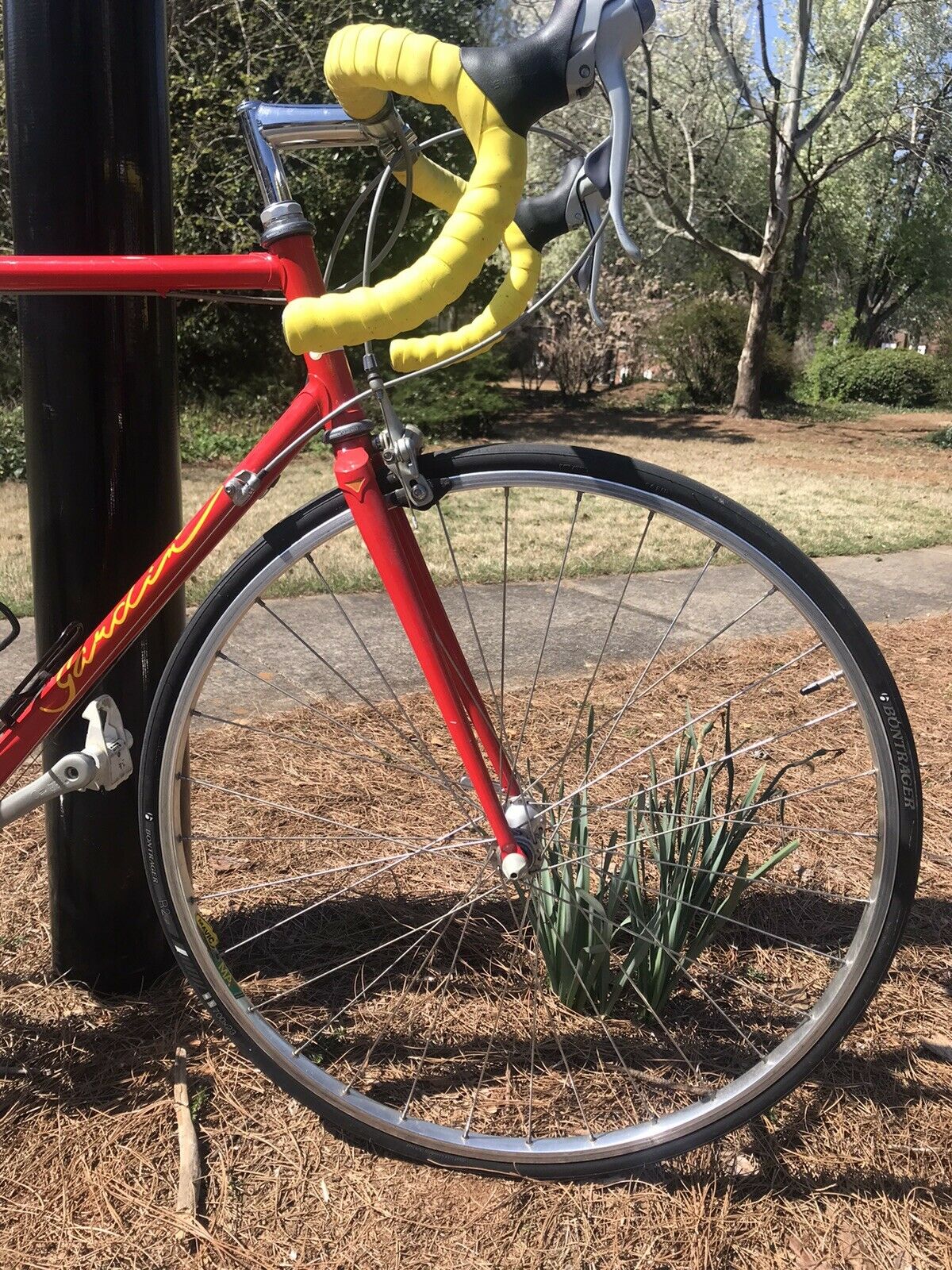 Joe Gardin Canada Road Bike With Shimano ! Near Mint Colnago Type Geometry Nice - Fresh Stock Dated February 2026