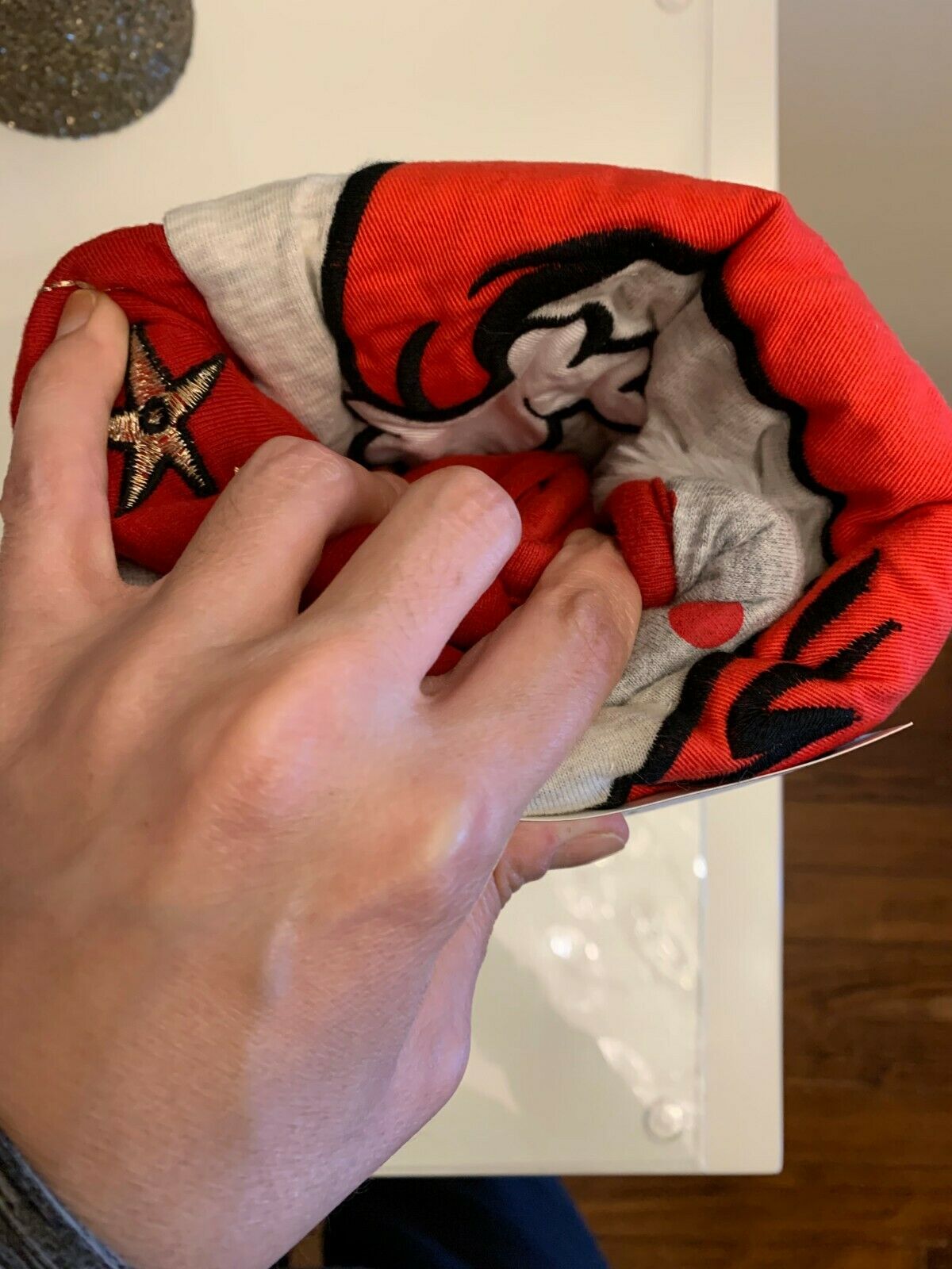 Pottery Barn Grinch Christmas pillow cover Sham gingham Dr Seuss Holiday Gift - Fresh Stock Dated December 2025