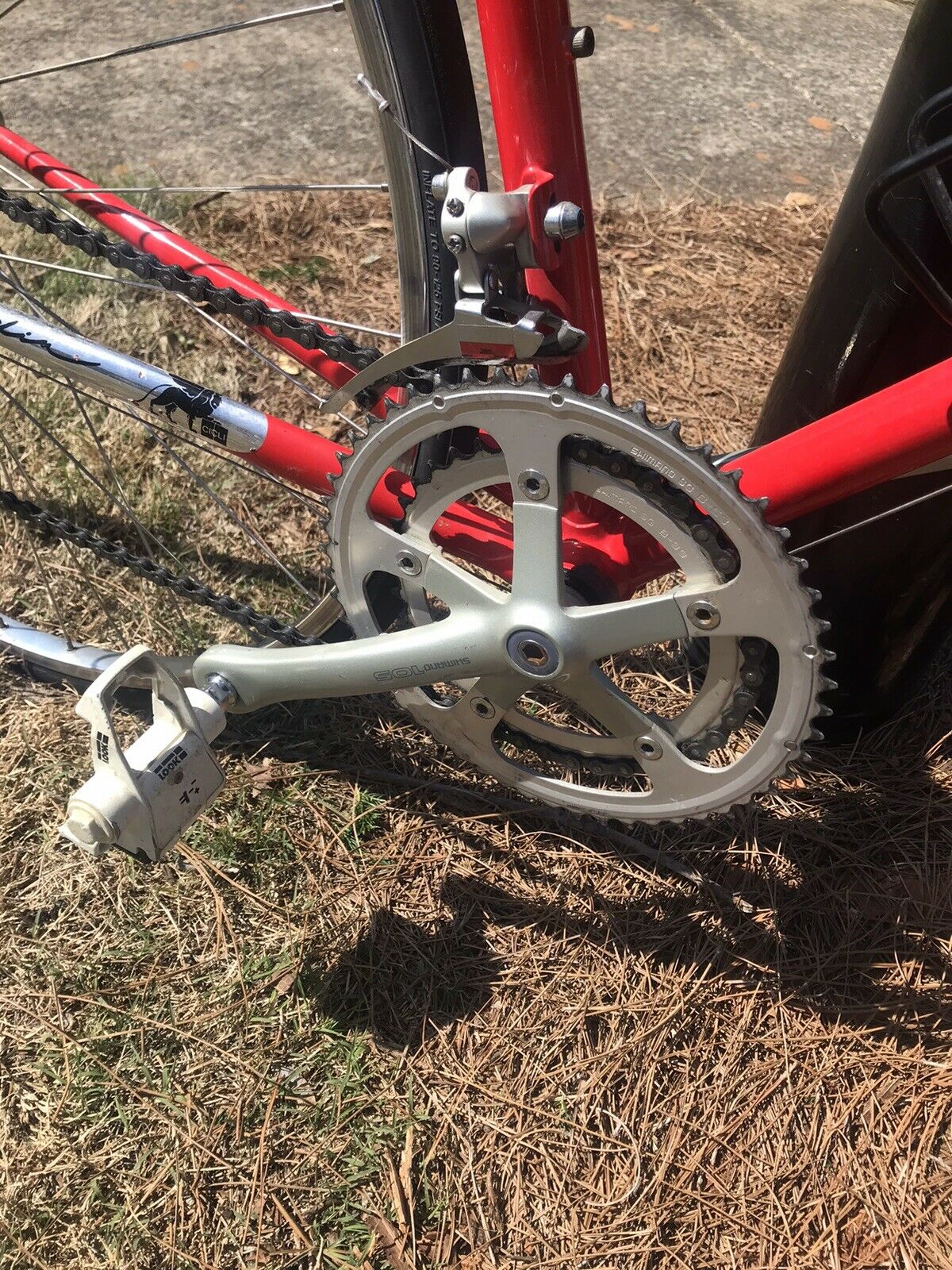 Joe Gardin Canada Road Bike With Shimano ! Near Mint Colnago Type Geometry Nice - Fresh Stock Dated February 2026