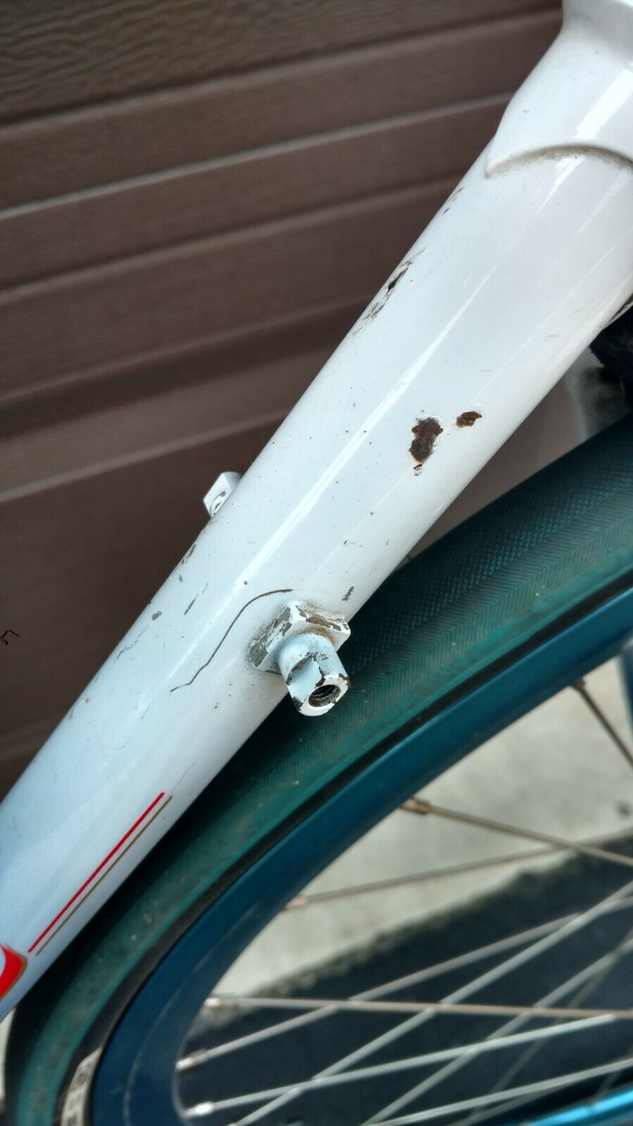 Dave Tesch Specialized Allez - Fresh Stock Dated December 2025