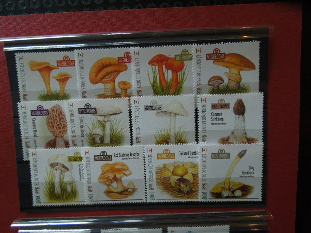 G2058    BURUNDI   MUSHROOMS    SET  OF  20   MNH - Fresh Stock Dated December 2025