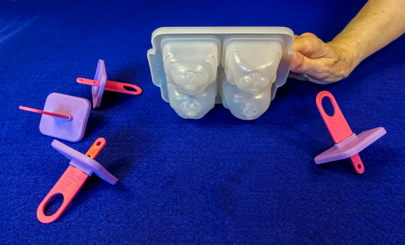 Vintage Tupperware Animal Ice Tups Popsicle Set - Fresh Stock Dated February 2026