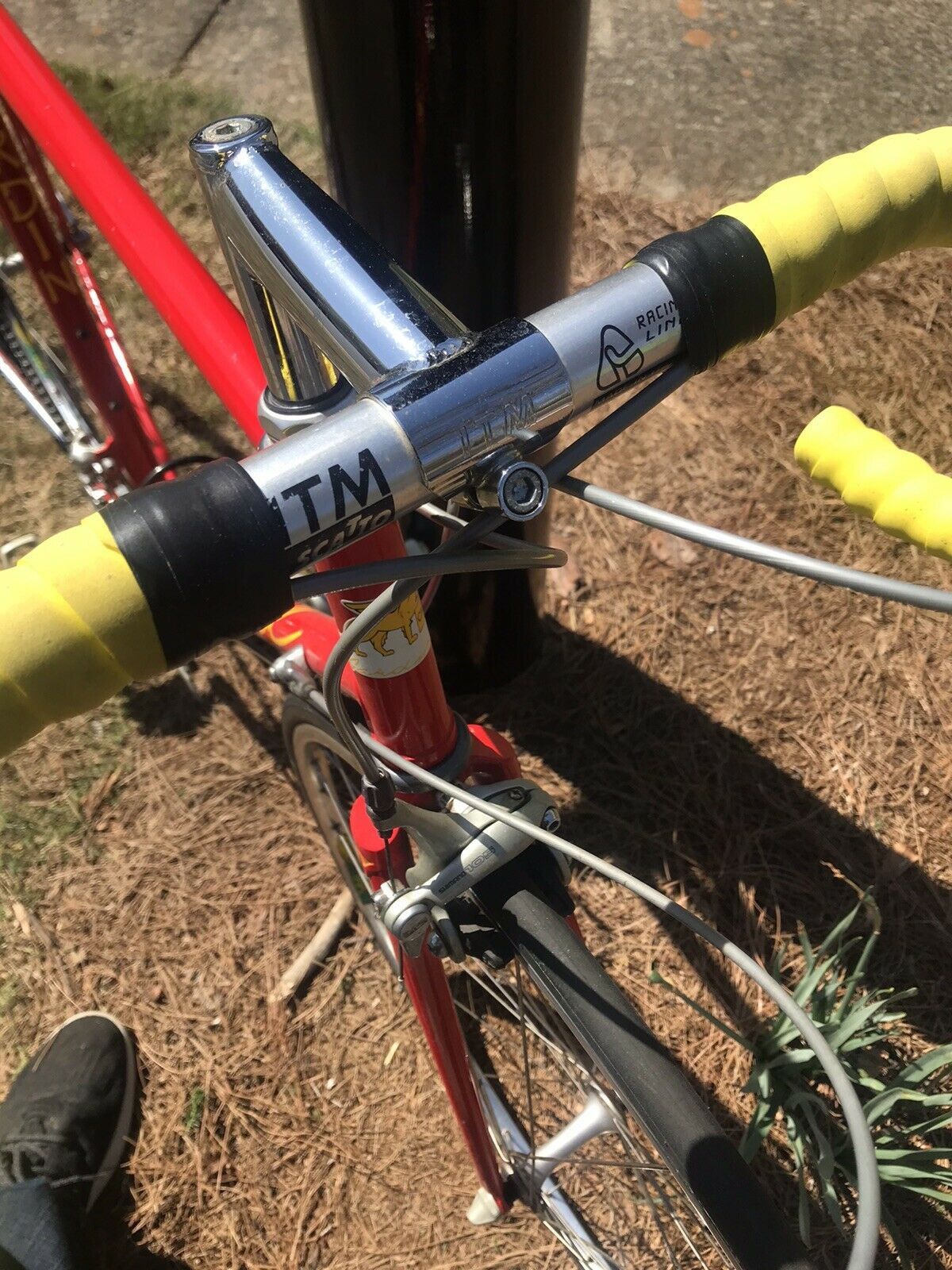 Joe Gardin Canada Road Bike With Shimano ! Near Mint Colnago Type Geometry Nice - Fresh Stock Dated February 2026