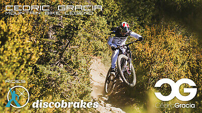 Tektro Auriga A10.11 Disc Brake Pads P20.11 E10.11 Orion Aquila Gemini Draco Pro - Fresh Stock Dated December 2025