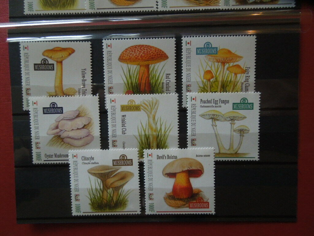 G2058    BURUNDI   MUSHROOMS    SET  OF  20   MNH - Fresh Stock Dated December 2025