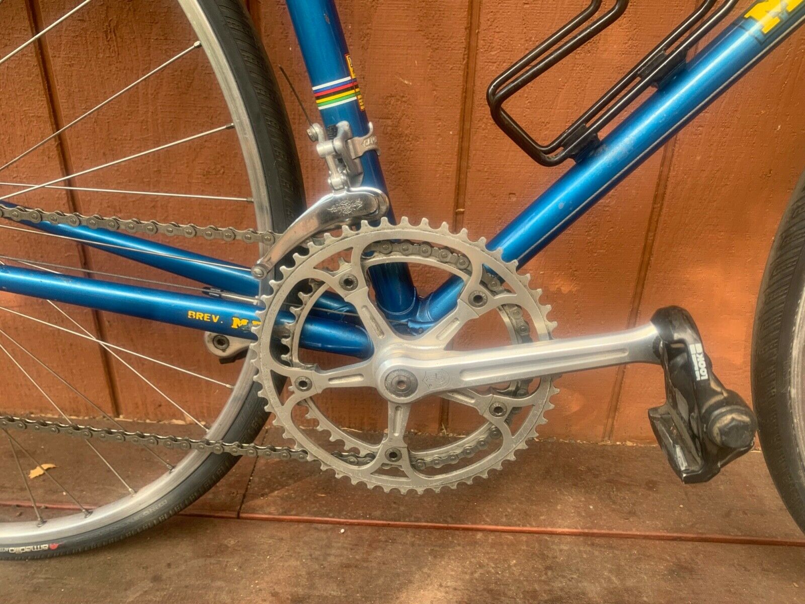 Masi Gran Criterium Bicycle - Fresh Stock Dated February 2026