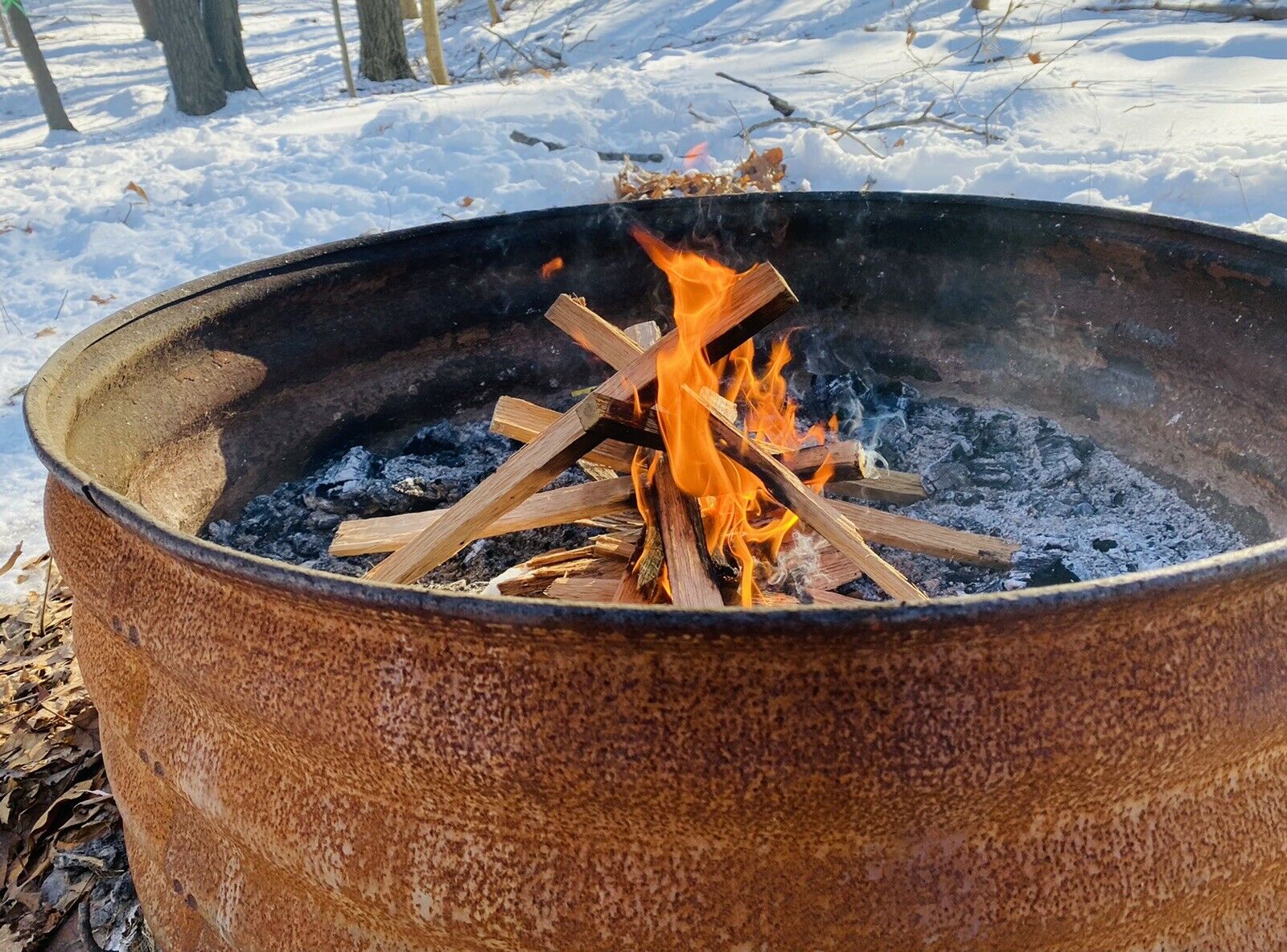 Premium Kindling Wood - 100% Seasoned Oak - Fresh Stock Dated February 2026