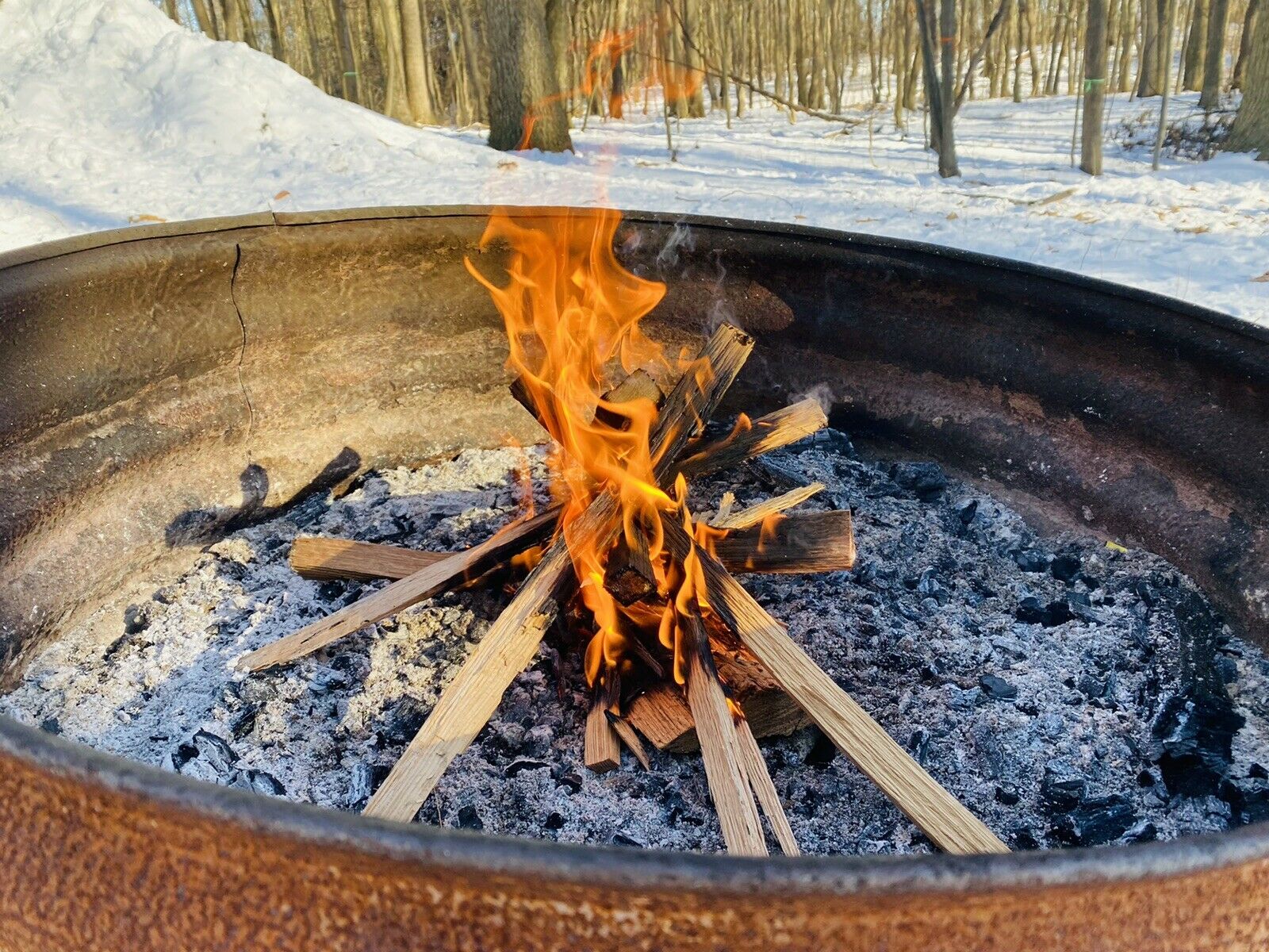 Premium Kindling Wood - 100% Seasoned Oak - Fresh Stock Dated February 2026
