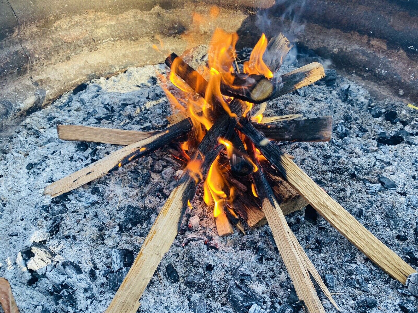 Premium Kindling Wood - 100% Seasoned Oak - Fresh Stock Dated February 2026