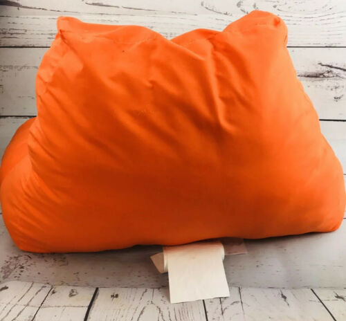 Rare Disney Planes Back Rest Bed rest Cushion Pillow Bed Pillow Orange Blue - Fresh Stock Dated December 2025