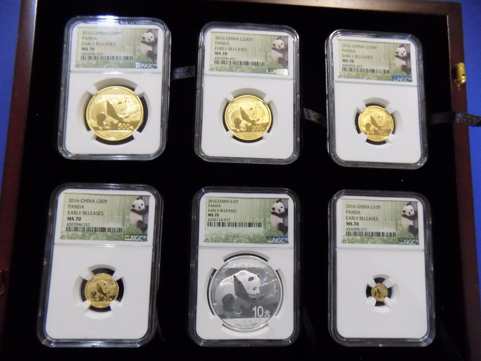2016 CHINA GOLD PANDA 6 COINS EARLY RELEASE NGC MS 70 COMPLETE PANDA LBL POP 1 - Fresh Stock Dated February 2026