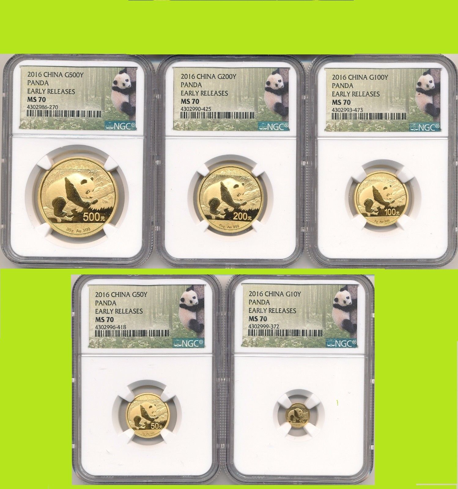 2016 CHINA GOLD PANDA 6 COINS EARLY RELEASE NGC MS 70 COMPLETE PANDA LBL POP 1 - Fresh Stock Dated February 2026