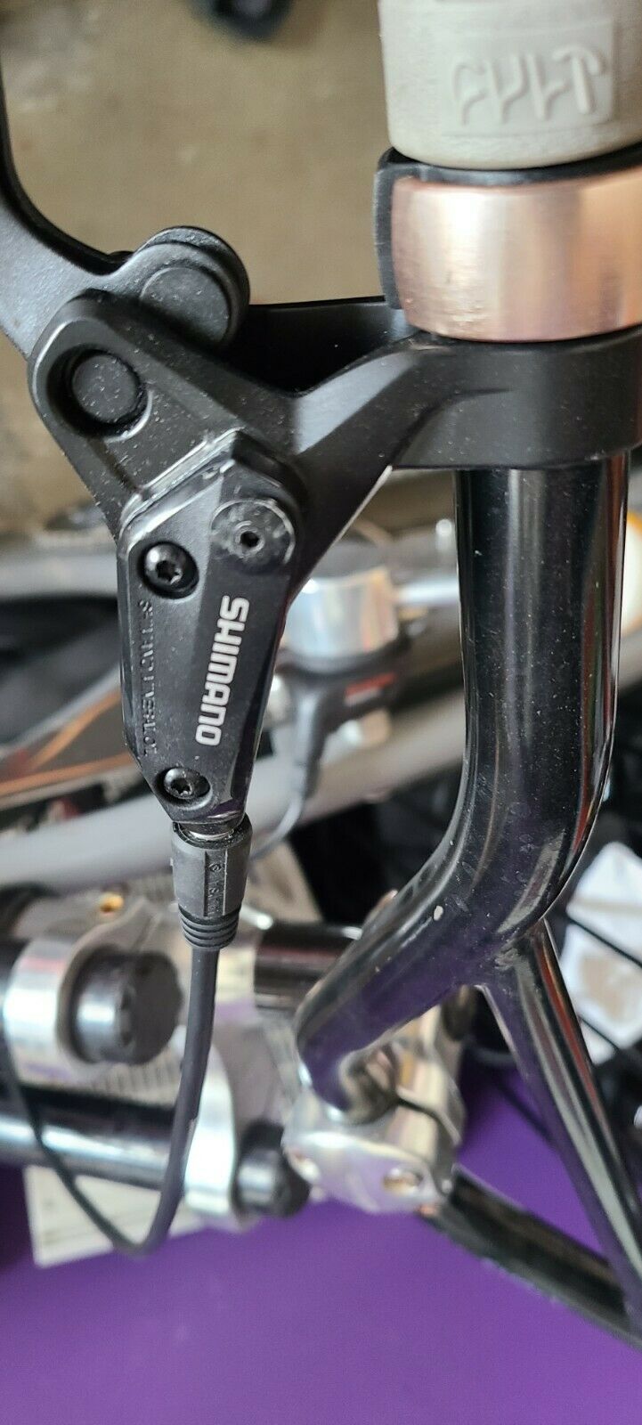 Ruff Cycles Smyinz Custom - Fresh Stock Dated February 2026