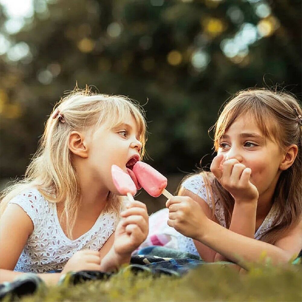 Ice cream mold silicone Popsicle Maker Frozen kitchen 4pcs tray lolly pop free - Fresh Stock Dated February 2026