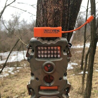 Lector De Tarjetas Reproduce Video Y Fotos - Fresh Stock Dated February 2026