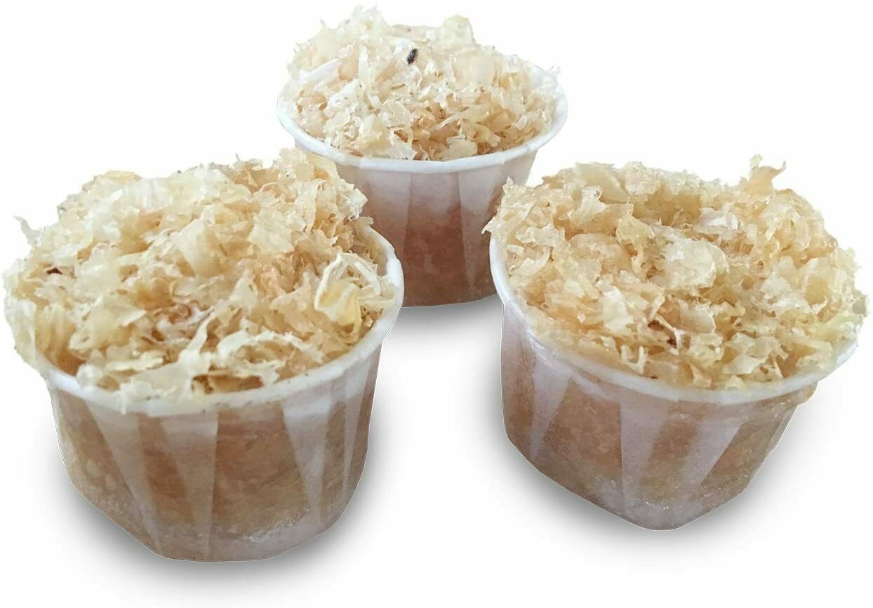 Fire Starter Fireplace BBQ Campfire Fire Pit Stove Firelighter Logs Wood Cubes - Fresh Stock Dated February 2026