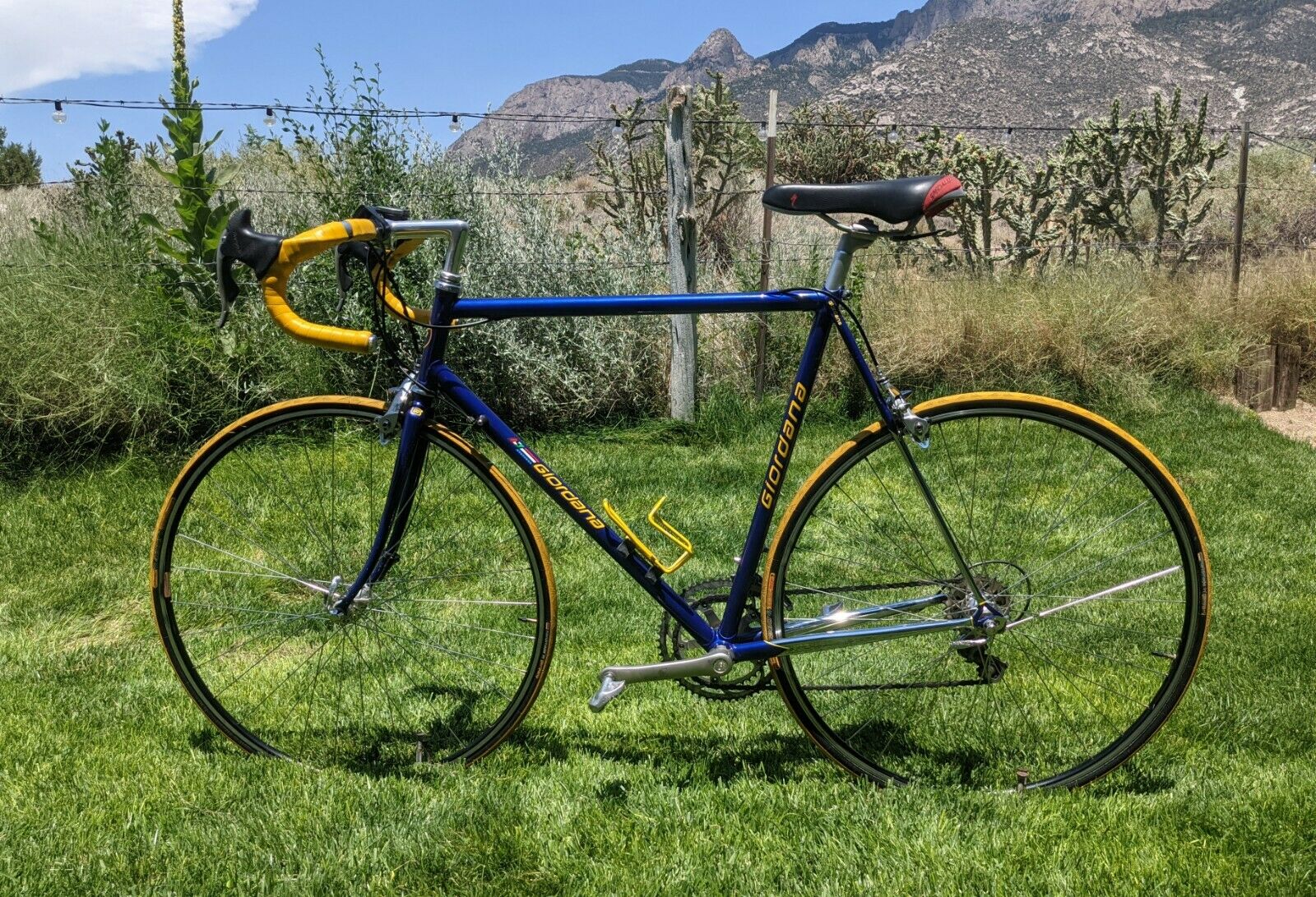 Giordana 58cm Road Bike — Columbus Steel — Full Campagnolo — Excellent Condition - Fresh Stock Dated December 2025