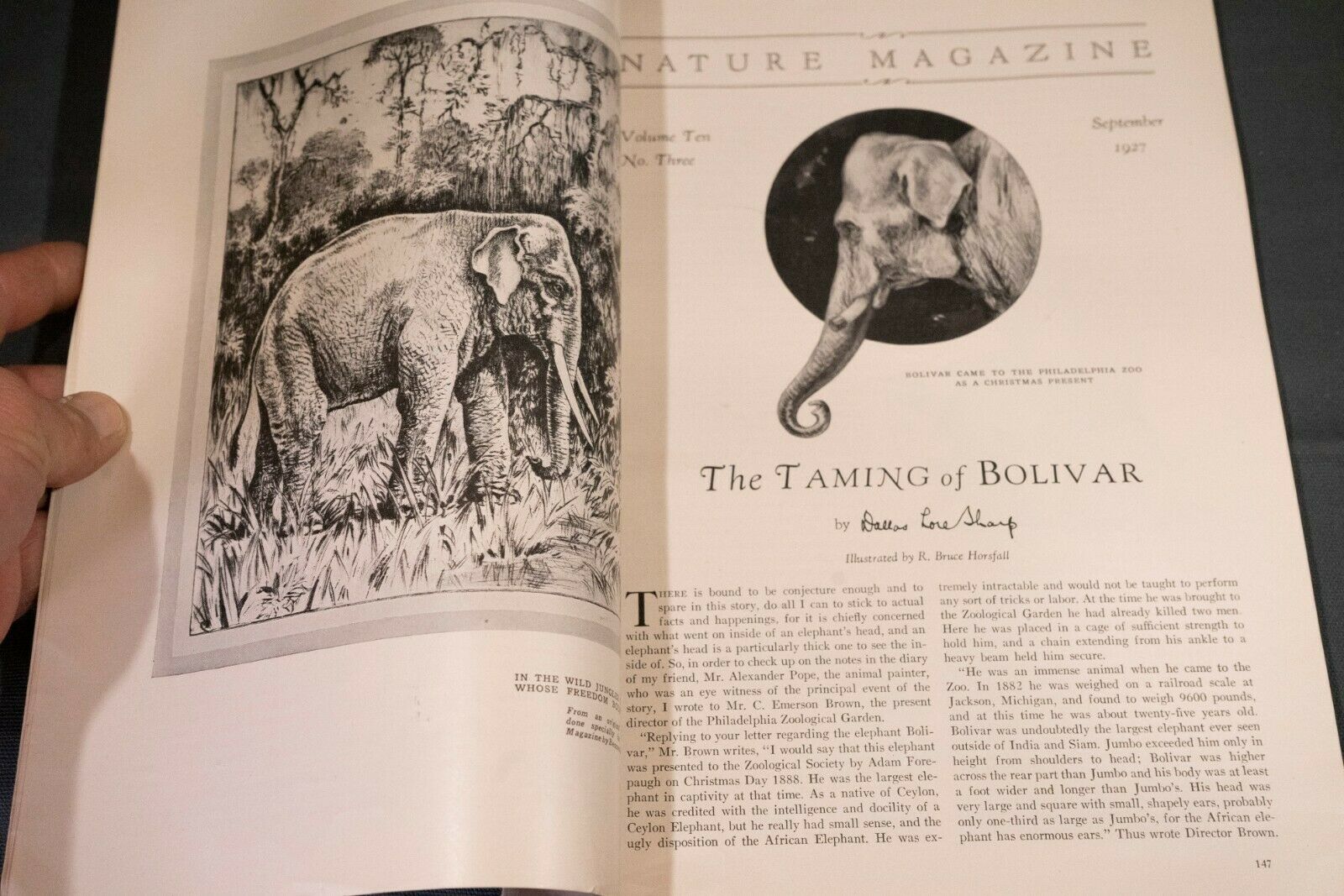 Antique Nature Magazine September 1927 Outdoor & Nature Publication - Fresh Stock Dated December 2025