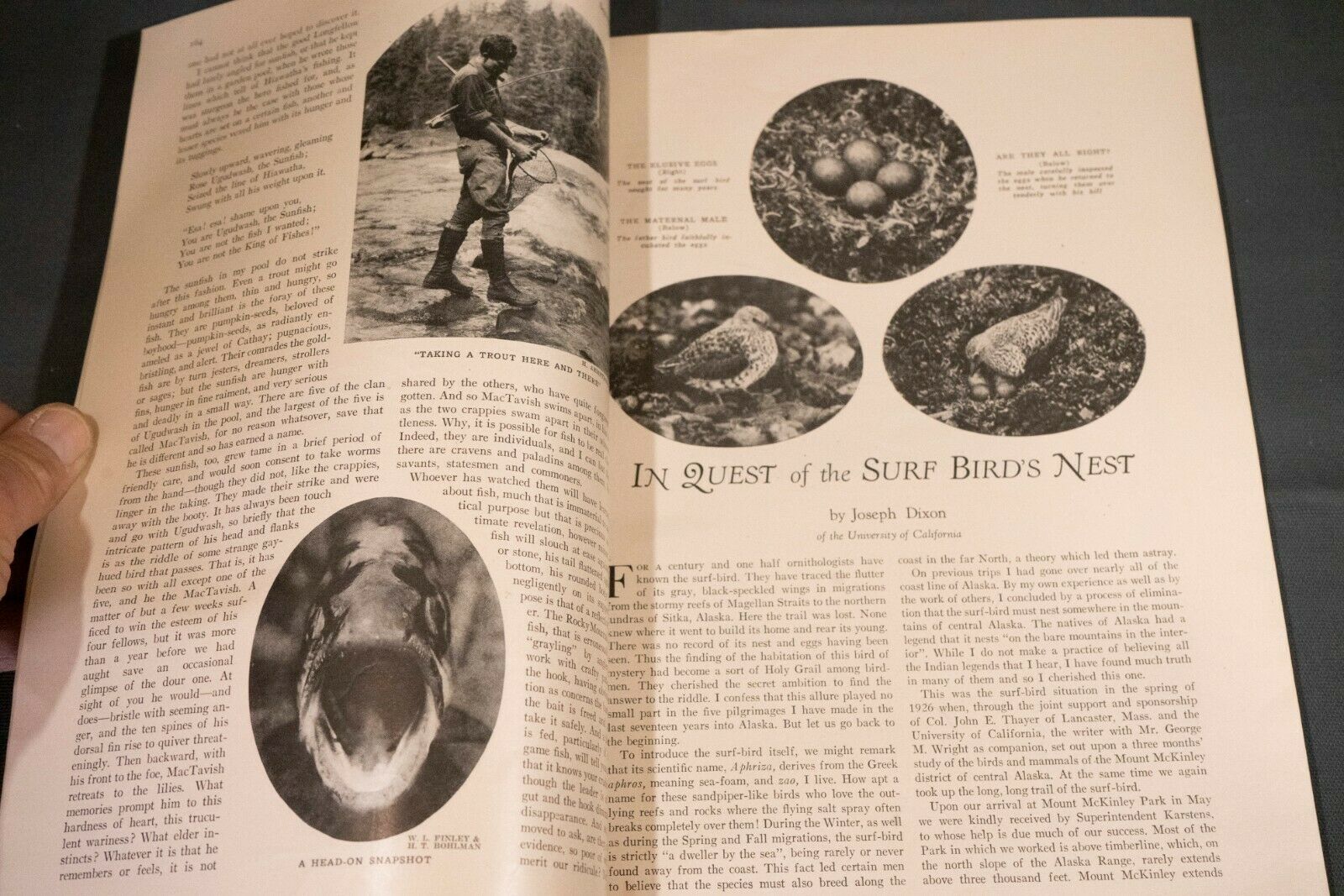 Antique Nature Magazine September 1927 Outdoor & Nature Publication - Fresh Stock Dated December 2025