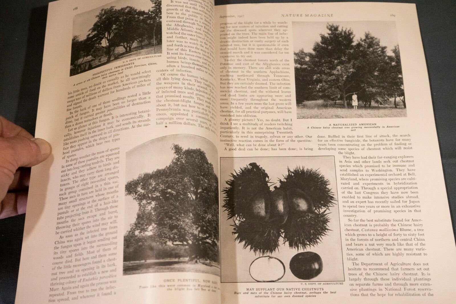 Antique Nature Magazine September 1927 Outdoor & Nature Publication - Fresh Stock Dated December 2025