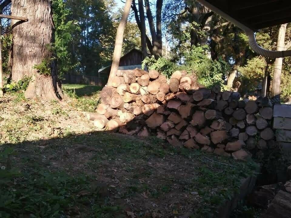 Firewood - Fresh Stock Dated December 2025