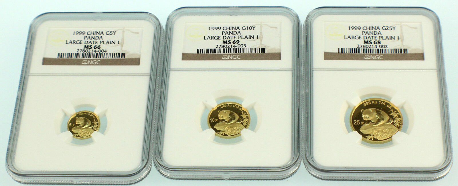 1999 China Large Date Plain 1 Gold Panda 5 Coins Set NGC - Fresh Stock Dated February 2026
