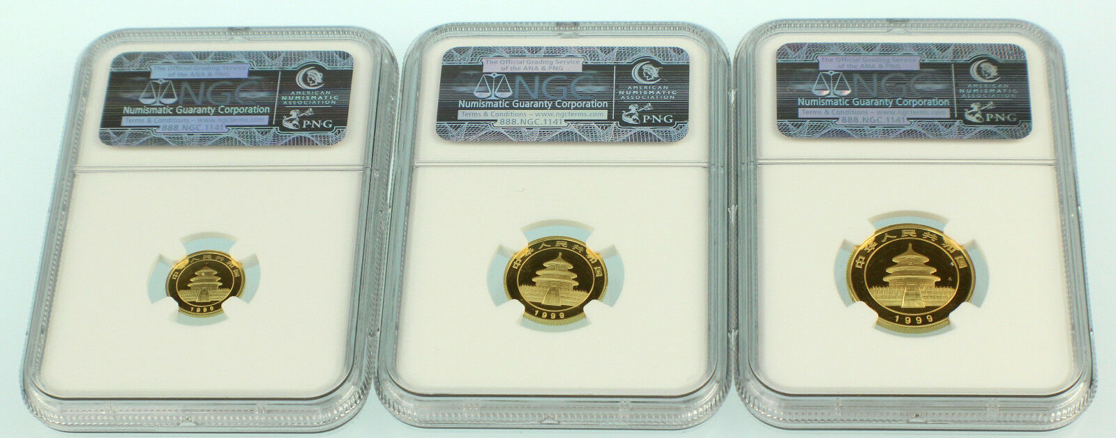 1999 China Large Date Plain 1 Gold Panda 5 Coins Set NGC - Fresh Stock Dated February 2026