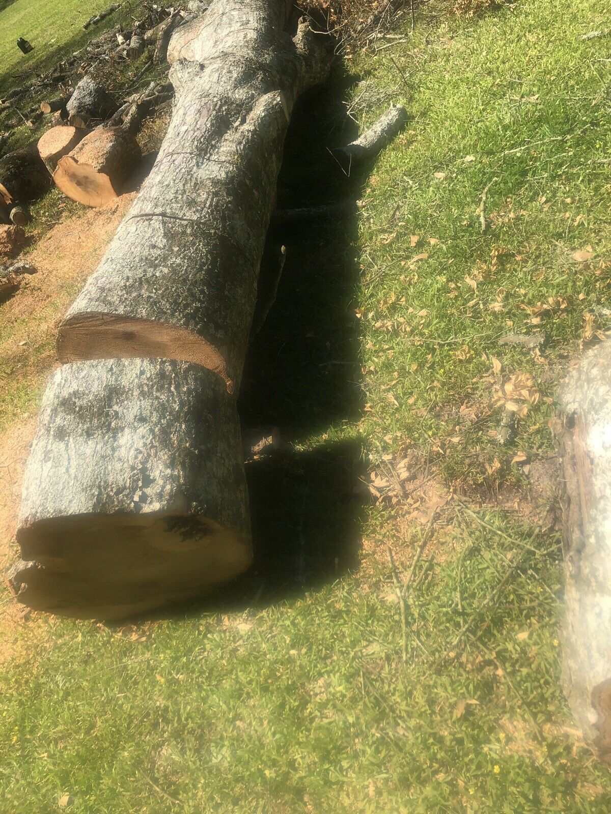 FIRE WOOD... 0 a truck load.. 0 a delivered truck load in Ascension Parish - Fresh Stock Dated February 2026