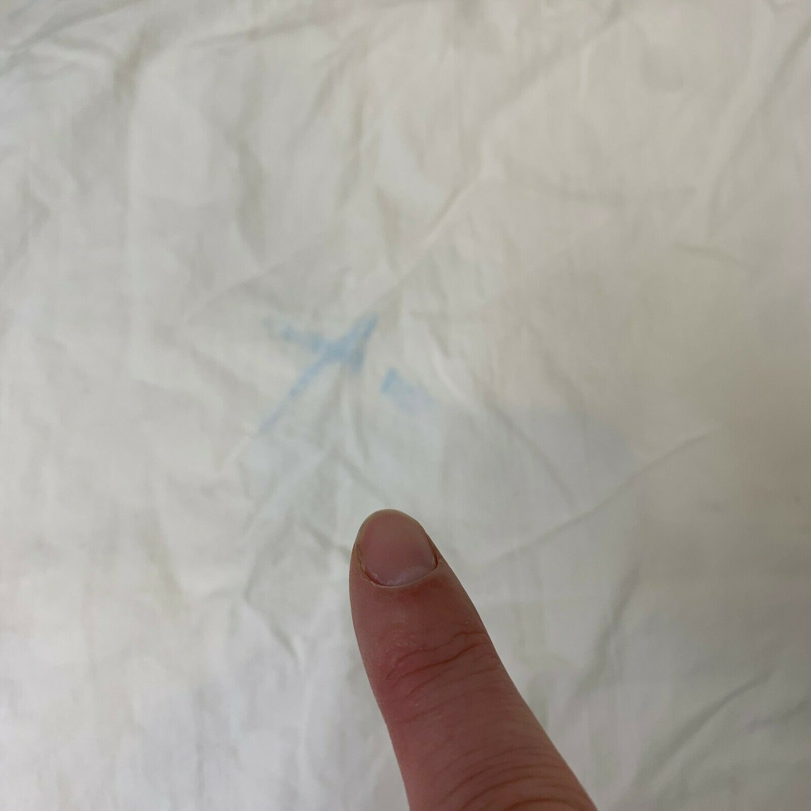 pottery barn kids pillowcase standard size made in India 100% cotton white bl - Fresh Stock Dated December 2025