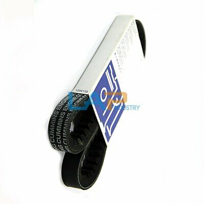 1PCS NEW For Cummins 6CT8.3 car engine fan belt 3289179 - Fresh Stock Dated December 2025