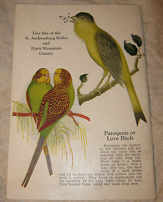 Vintage 1925 CANARY Book CANARIES FOR PLEASURE Bird Raising MAGNESIA Catalog VGC - Fresh Stock Dated December 2025