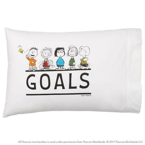 Pottery Barn Teen Peanuts Squad And Goals Standard 2 Pillow Cases New - Fresh Stock Dated December 2025
