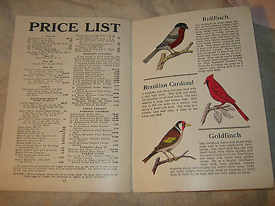Vintage 1925 CANARY Book CANARIES FOR PLEASURE Bird Raising MAGNESIA Catalog VGC - Fresh Stock Dated December 2025